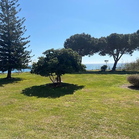 Appartement N 216 Moriani Plage Santa-Lucia-di-Moriani Eksteriør billede