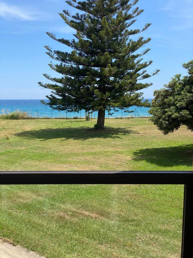 Appartement N 216 Moriani Plage Santa-Lucia-di-Moriani Eksteriør billede