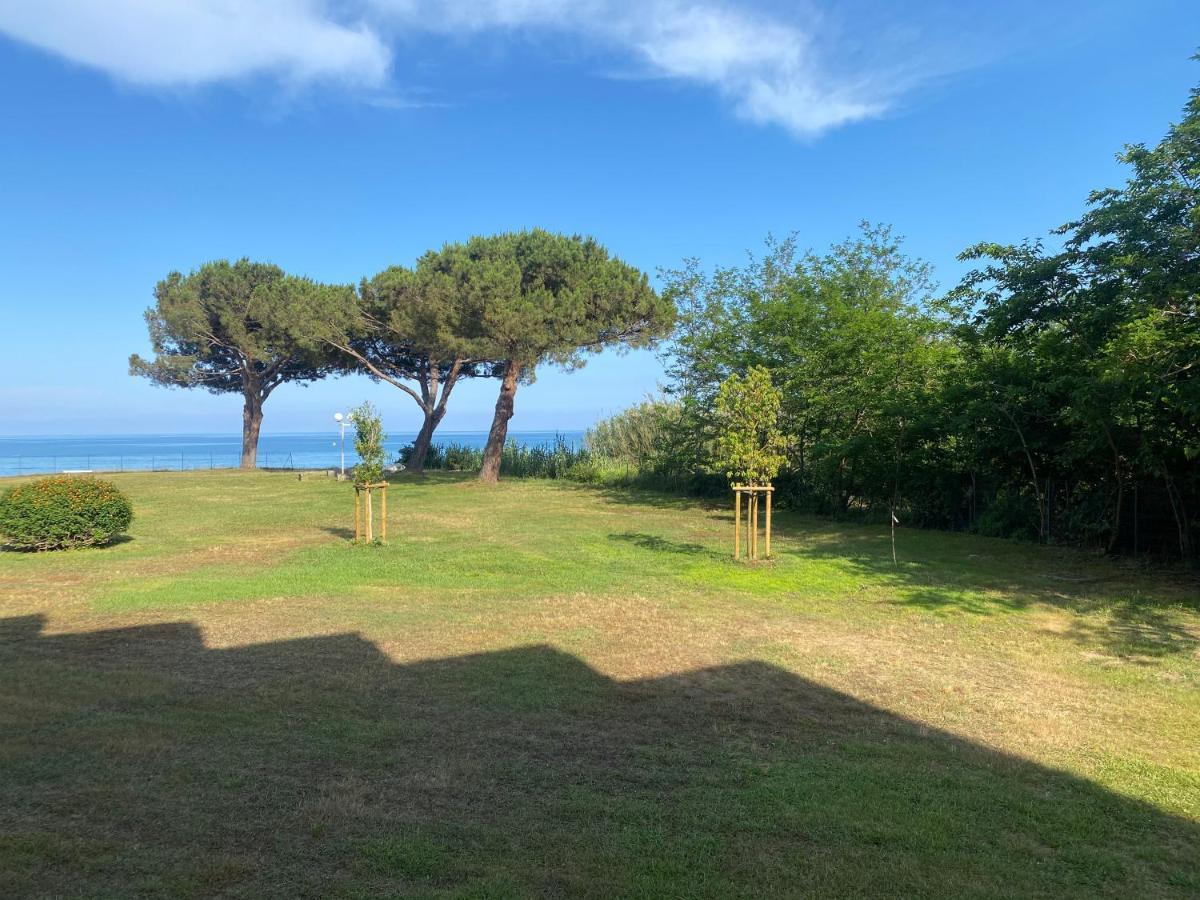 Appartement N 216 Moriani Plage Santa-Lucia-di-Moriani Eksteriør billede