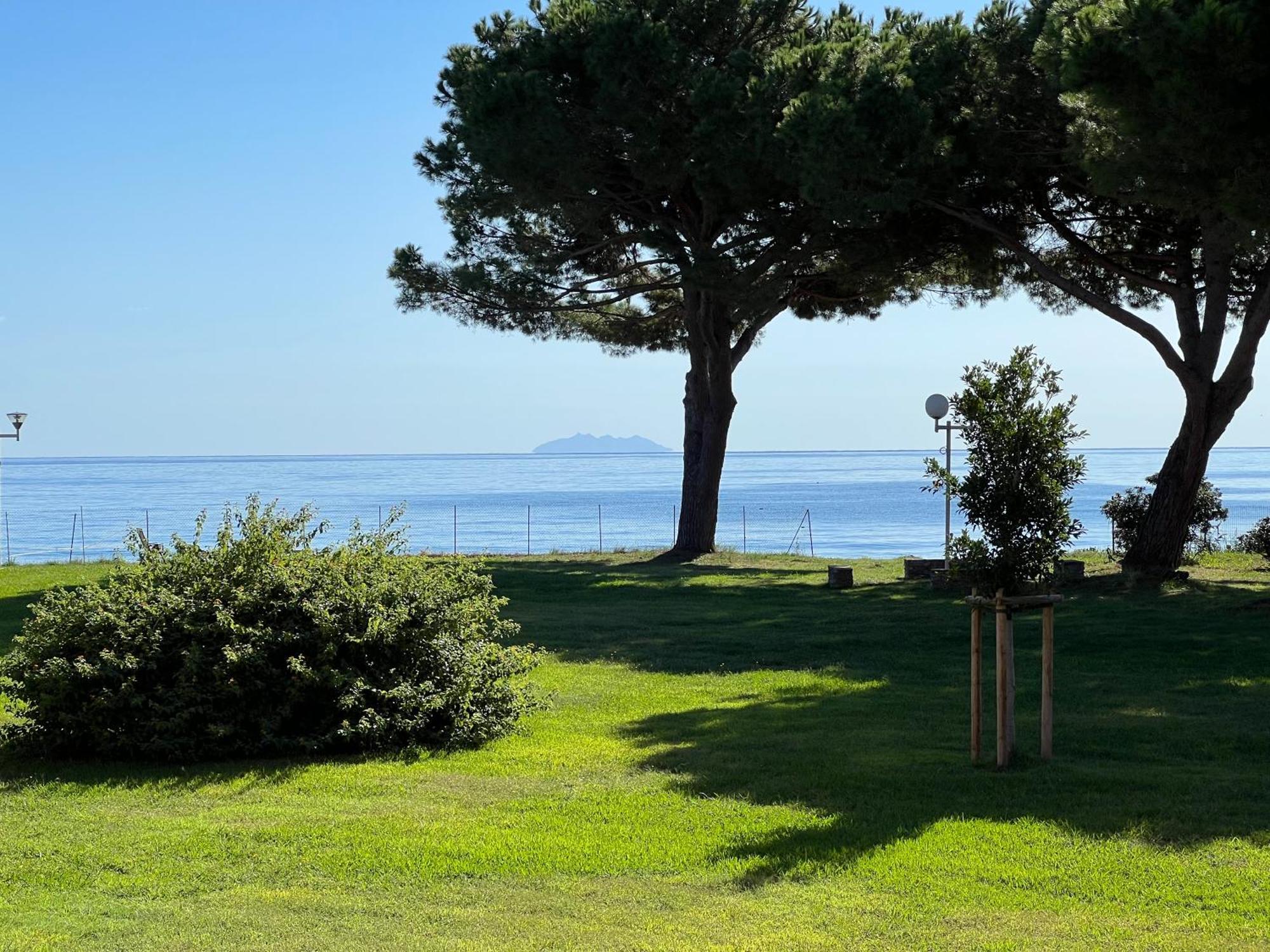 Appartement N 216 Moriani Plage Santa-Lucia-di-Moriani Eksteriør billede