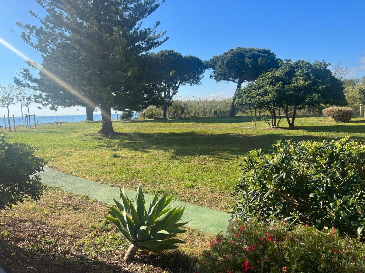 Appartement N 216 Moriani Plage Santa-Lucia-di-Moriani Eksteriør billede