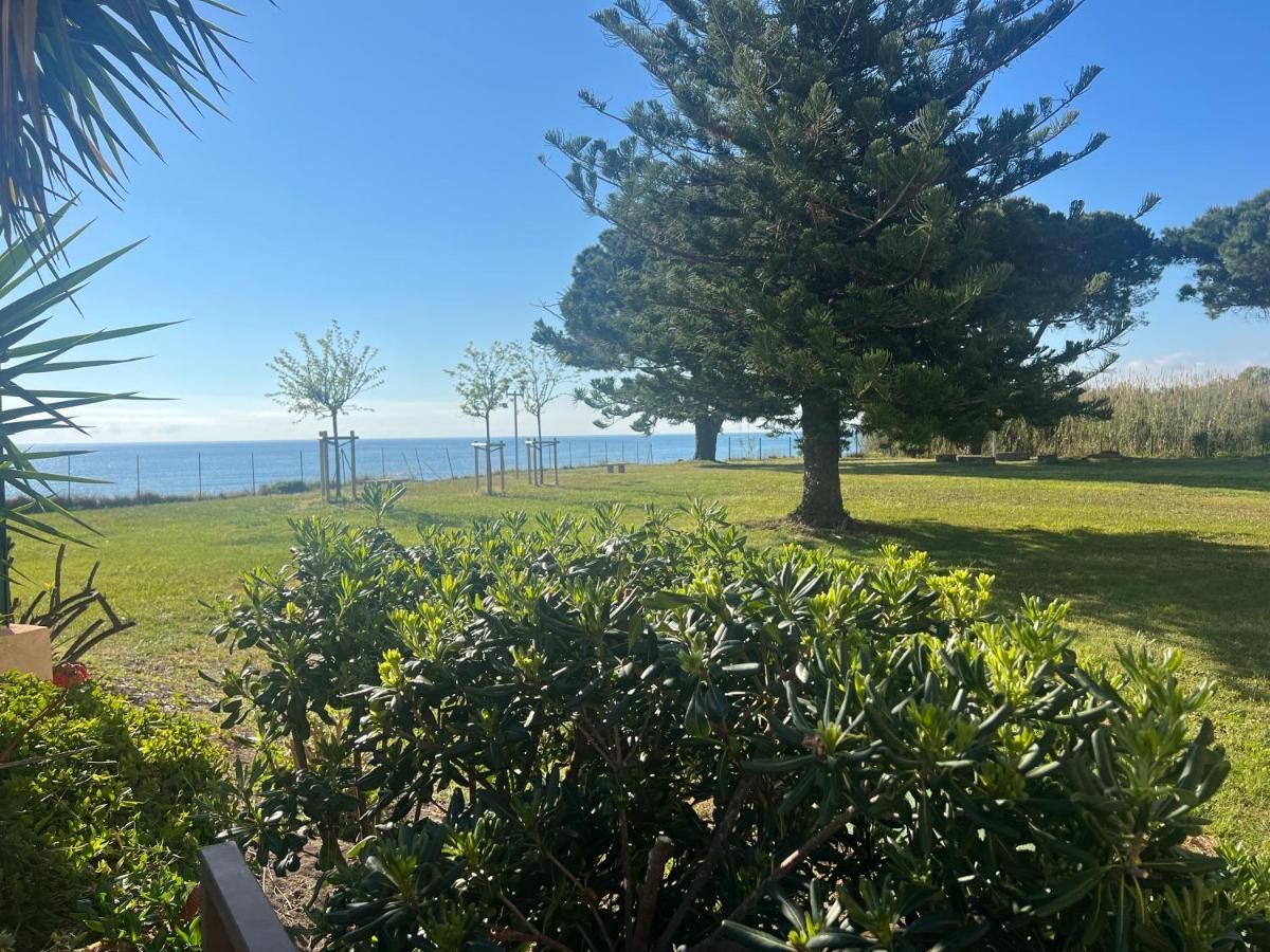 Appartement N 216 Moriani Plage Santa-Lucia-di-Moriani Eksteriør billede